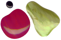 SFN42 Replacement Set for P20-10 - Purchase Online Secure!