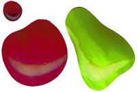 SFN60 Replacement Set for GF16-19 - Purchase Online Secure!