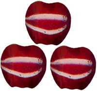 Apples - Lg. Delicious Red Opal - Purchase Online Secure!