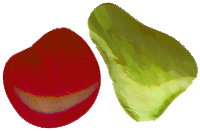 AP1 Replacement Set for RC22-1 - Purchase Online Secure!