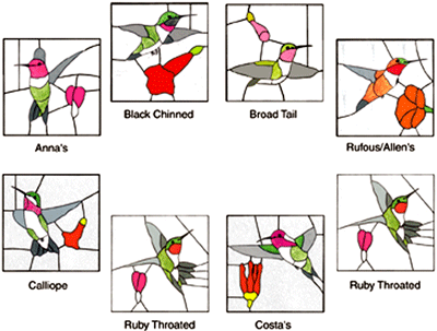 FD14GP Hummingbird Window Hangers W GlasPak - Purchase Online Secure!