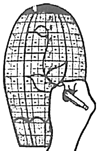 G11- 0 Lamp Designing Grid Pattern - Purchase Online Secure!