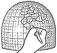 G13- 0 Lamp Designing Grid Pattern - Purchase Online Secure!