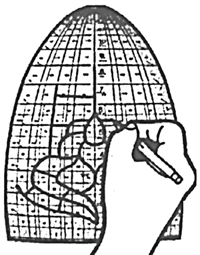 G16- 0 Lamp Designing Grid Pattern - Purchase Online Secure!