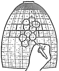 G19.5- 0 Lamp Designing Grid Pattern - Purchase Online Secure!