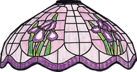 C20-18GP Iris GlasPak - Purchase Online Secure!
