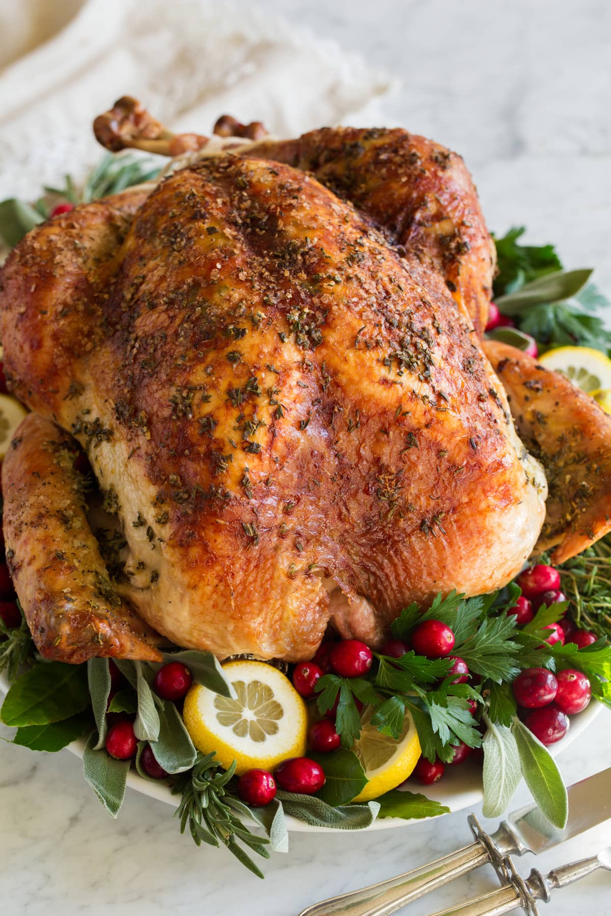 Roast Turkey Recipe - Cooking Classy (11)