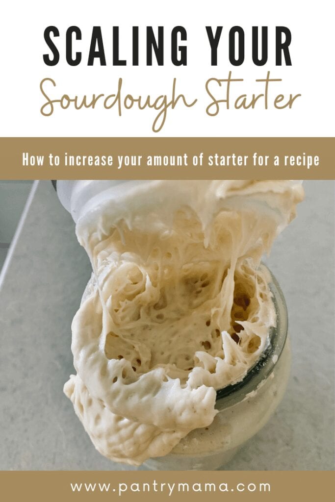 How To Increase Your Sourdough Starter (1)