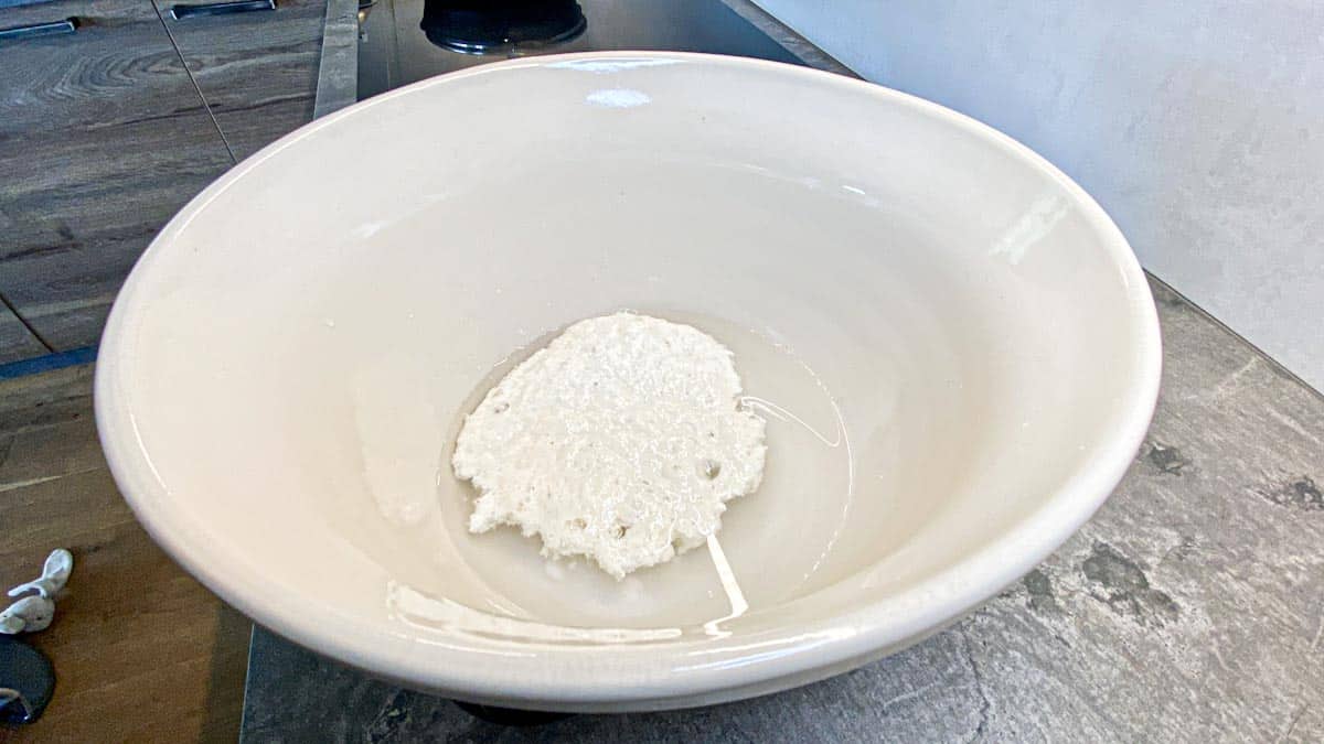 Speedy Same Day Sourdough Bread Recipe (Easy to Make) (2)