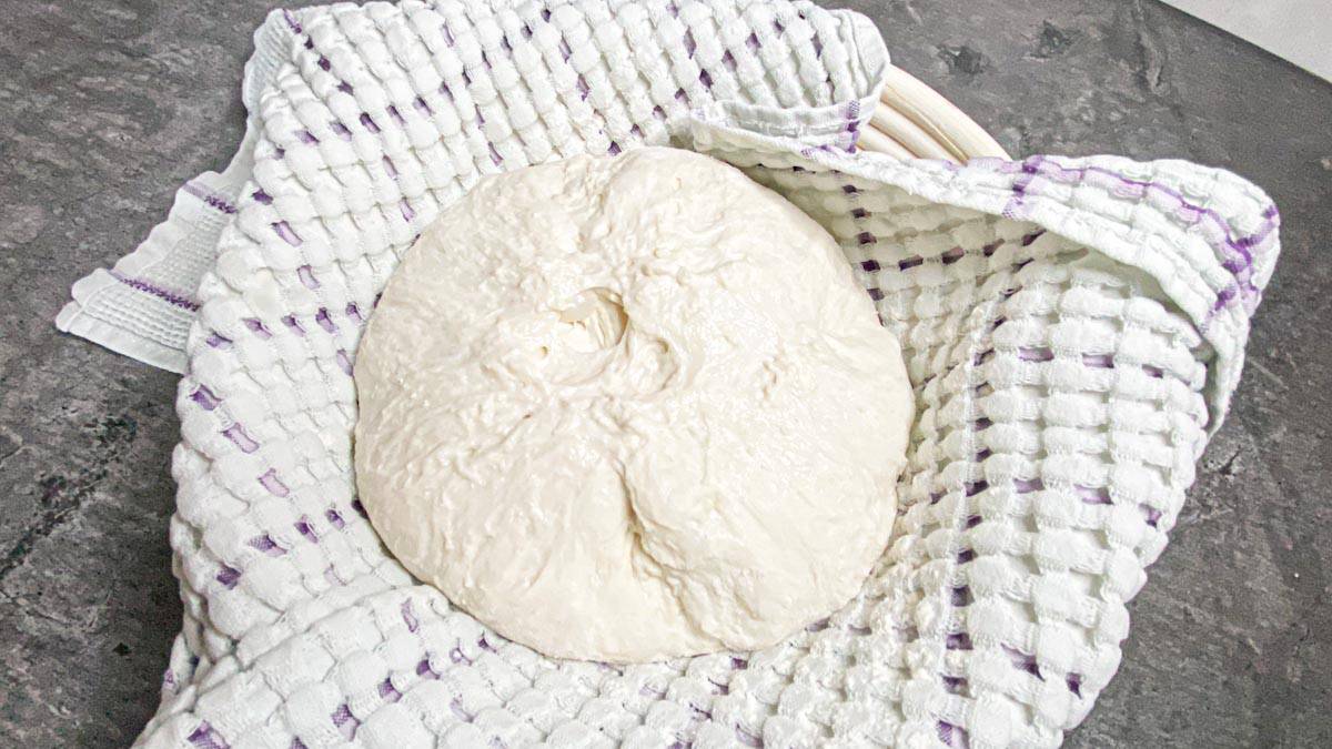 Speedy Same Day Sourdough Bread Recipe (Easy to Make) (6)