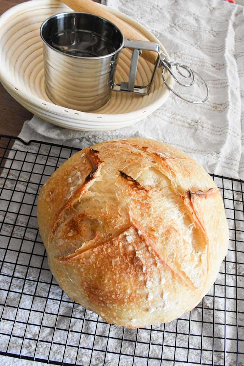 Speedy Same Day Sourdough Bread Recipe (Easy to Make) (7)