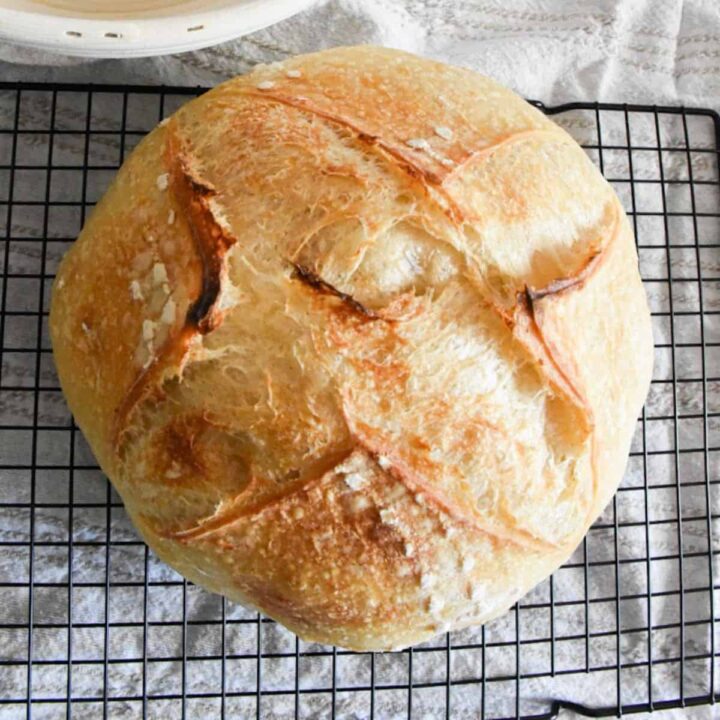 Speedy Same Day Sourdough Bread Recipe (Easy to Make) (12)