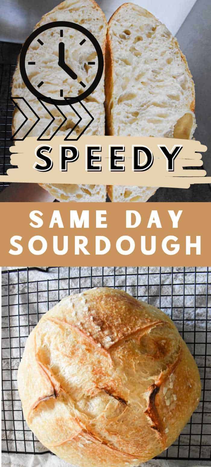 Speedy Same Day Sourdough Bread Recipe (Easy to Make) (13)