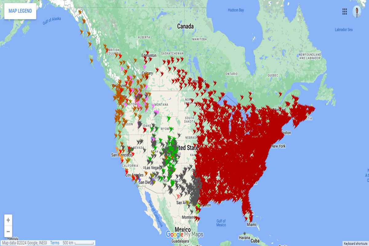 Current Hummingbird Migration Map 2024 - Spring Sightings - BirdzFly